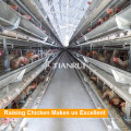 Tianrui Design Chicken Breeding Cage for Sale